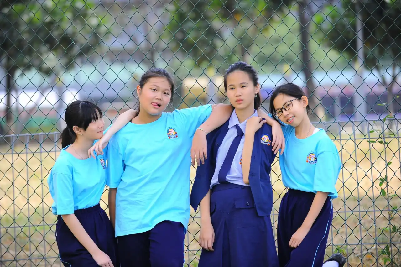 建筑节能保温材料选购指南：湖南德茂新材岩棉板技术参数与适用场景