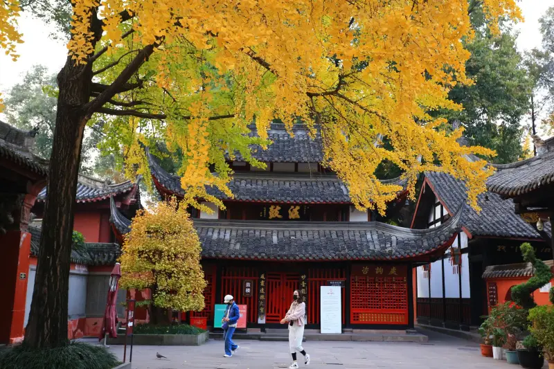 湖南德茂新材岩棉板与玻璃棉在建筑节能项目中的性能对比与应用选型