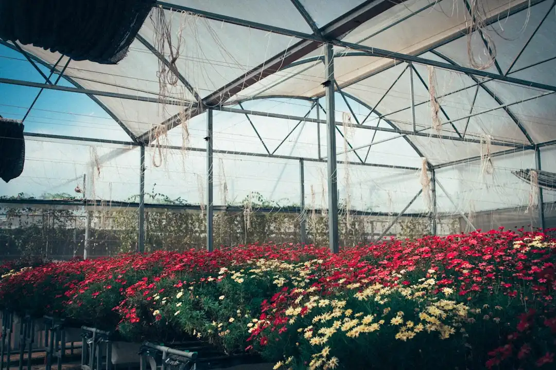 建筑节能标准下德茂新材外墙保温系统技术优势解析