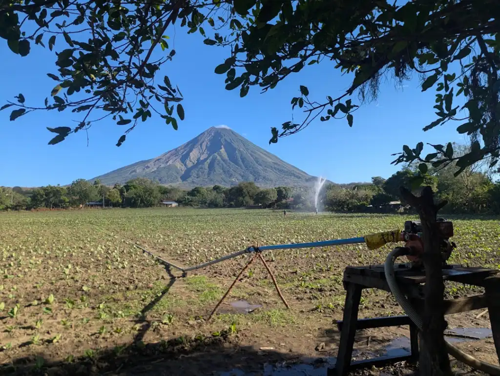 湖南德茂岩棉板在建筑外墙保温系统中的技术应用优势