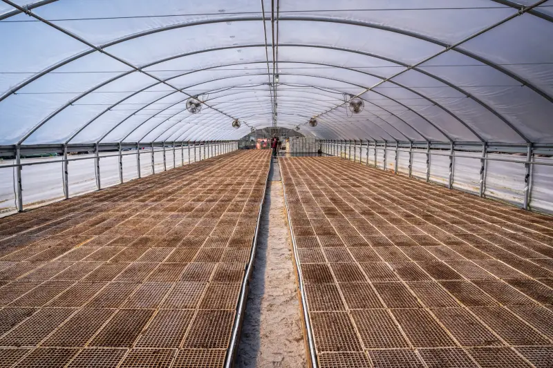 建筑节能保温材料选购指南：湖南地区岩棉板技术参数详解